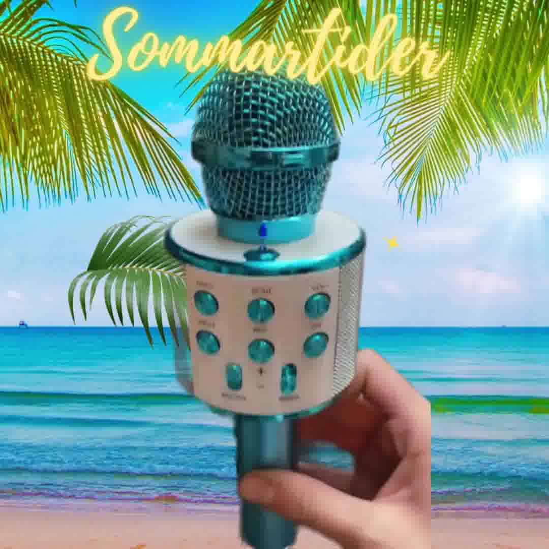 REA - Årets Present Multifunktionsmikrofon