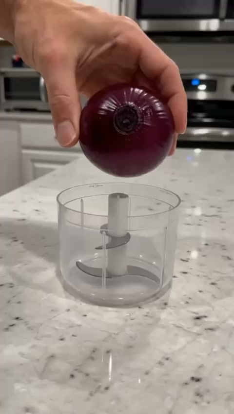#1 Electric Chopper