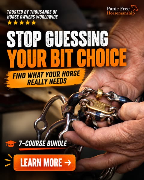 Stop Guessing With Your Horse’s Bit