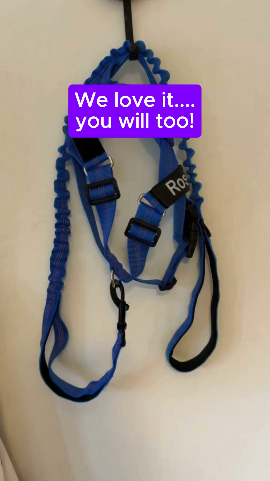 Easier Walks. FREE Matching Stretch Lead.