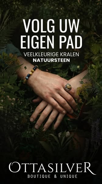 Kralenarmband met veelkleurig tijgeroog