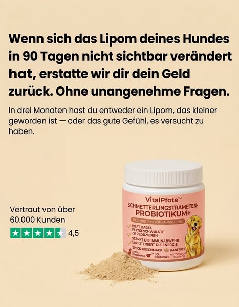 Eine Garantie gibt es hier schon