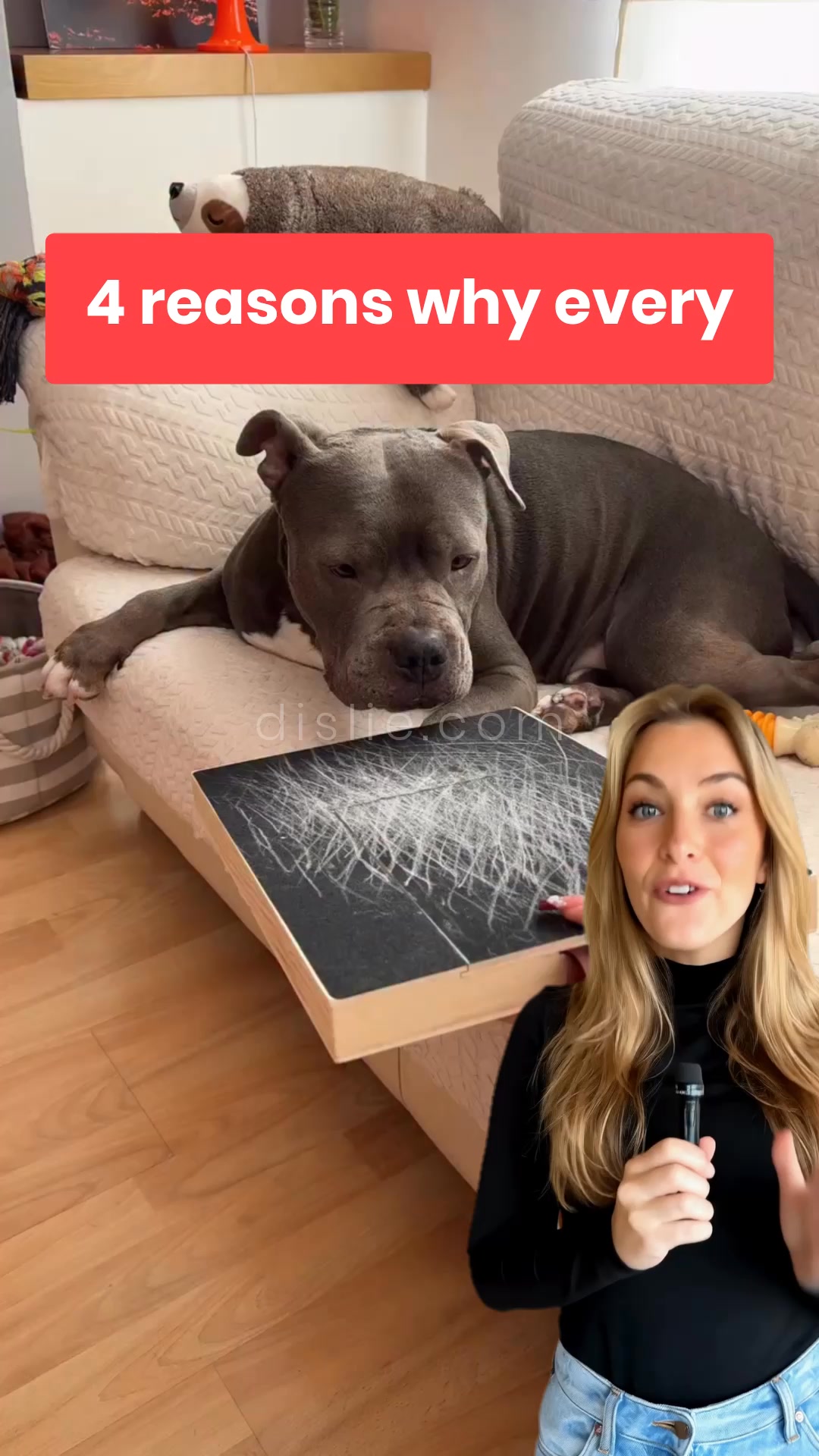 Turn stressful nail trimming into PLAYTIME with treats!