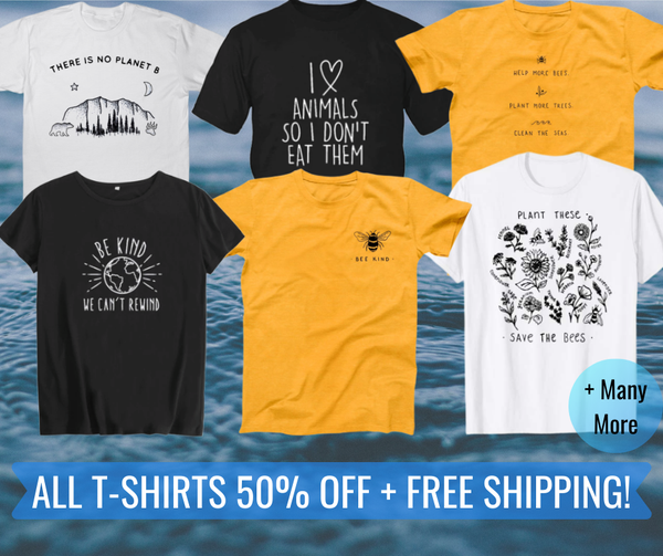 Anúncio de Ethical Earth Store