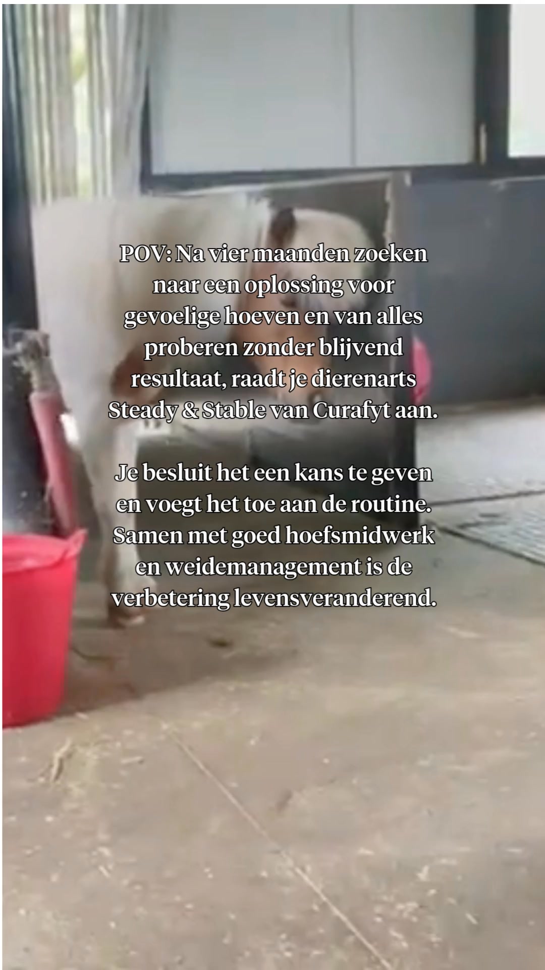 Gevoelige hoeven + seizoensgras = tijd voor een plan