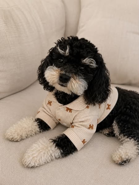 Matching doodle pajamas