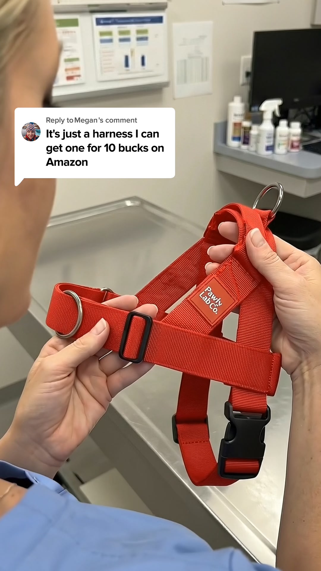 FREE LEASH TODAY