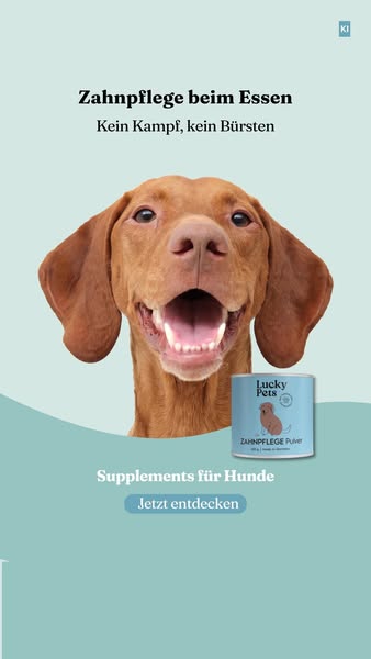 Zahnpflege für deinen Hund