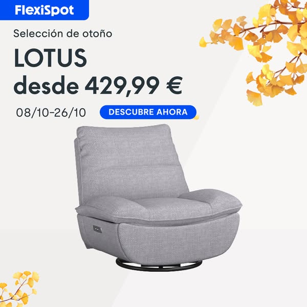 Descubre la colección