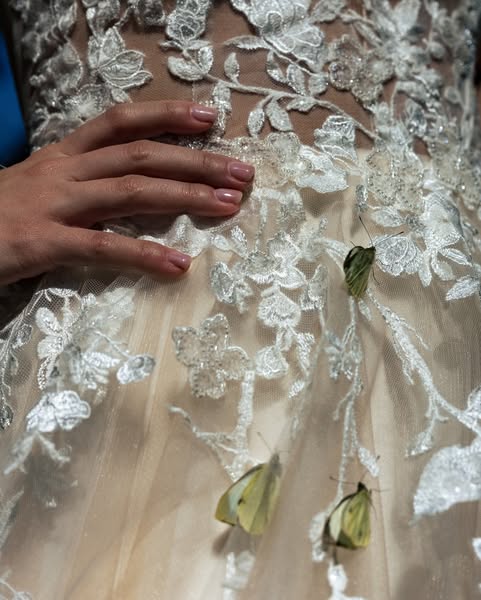 Anúncio de Butterflies for Events