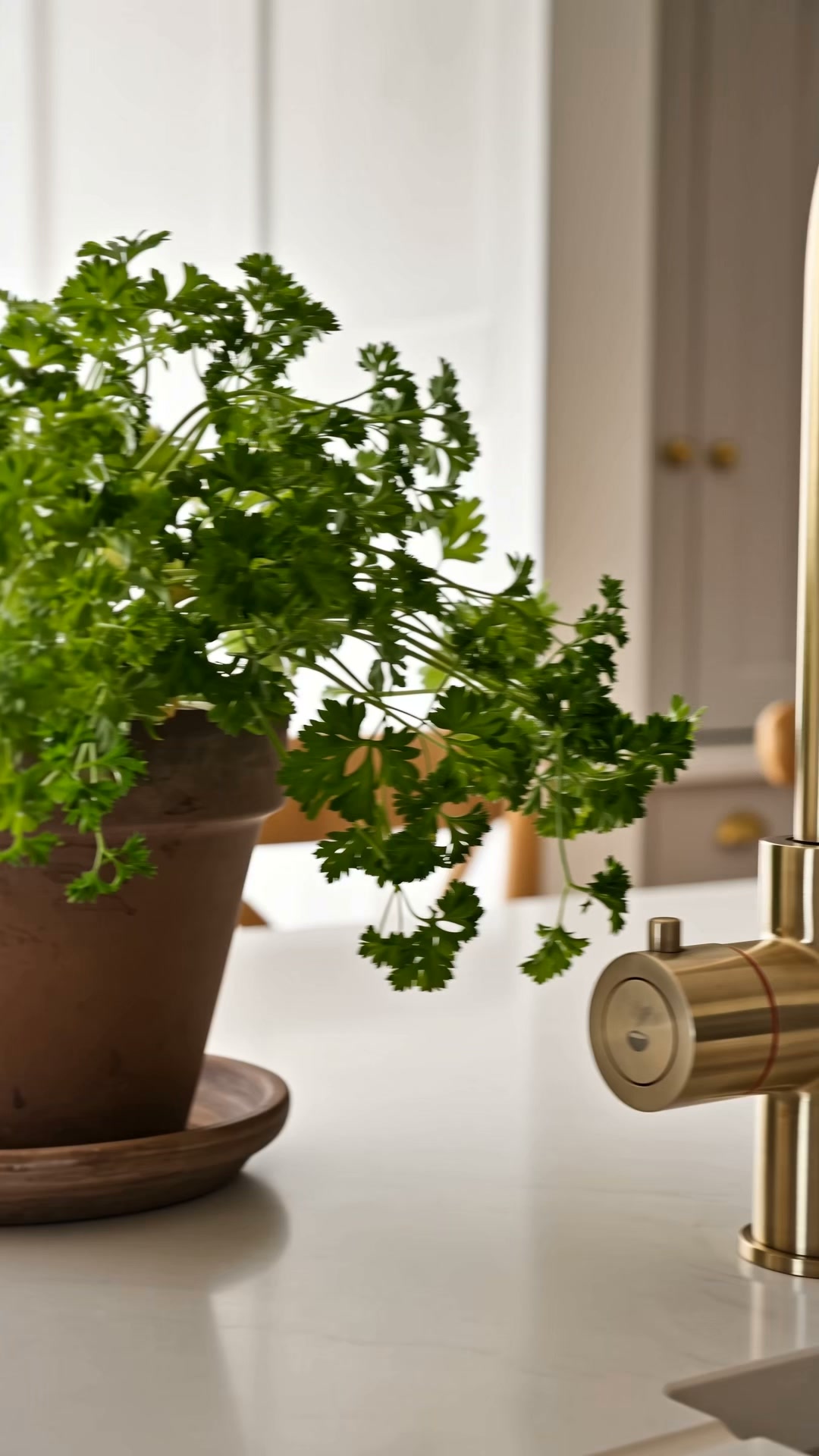 The perfect countertop addition.