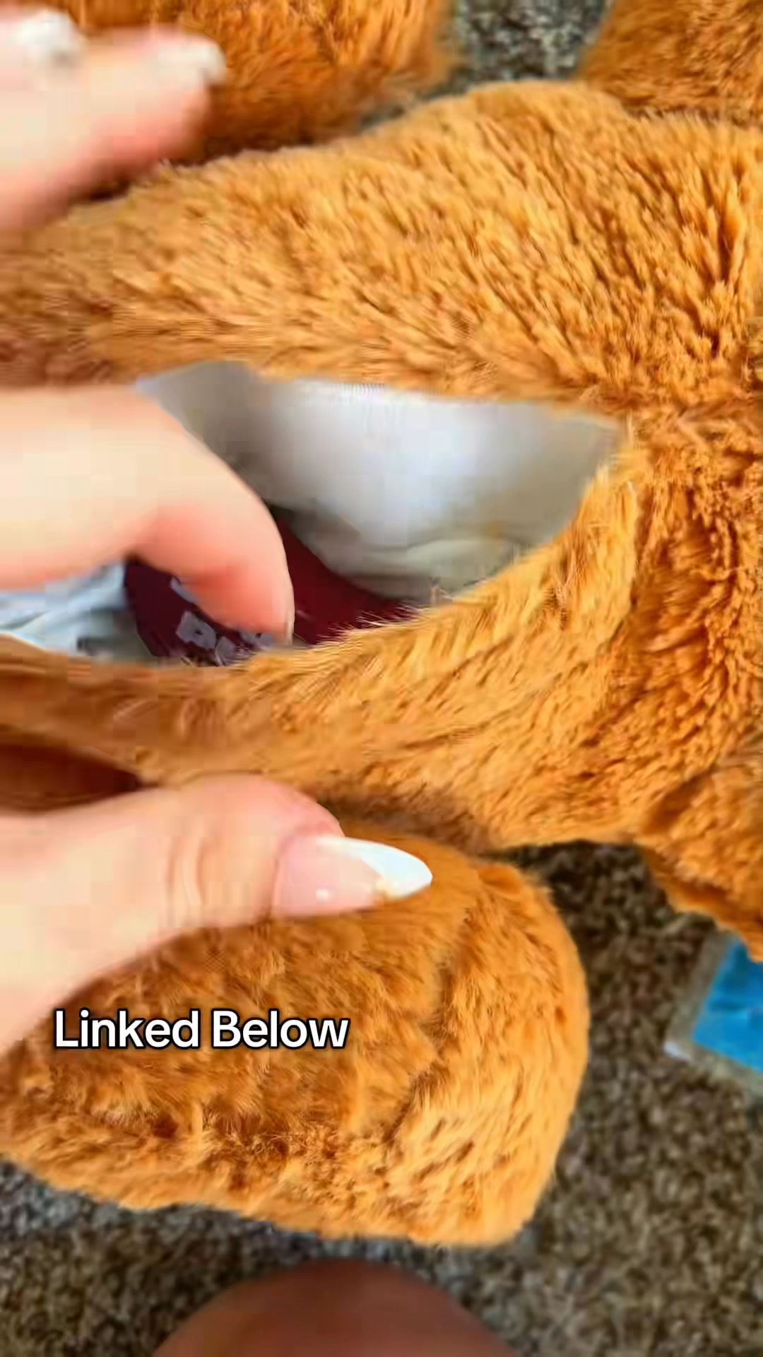 Recommended by trainers, vets, and breeders. Here's why.