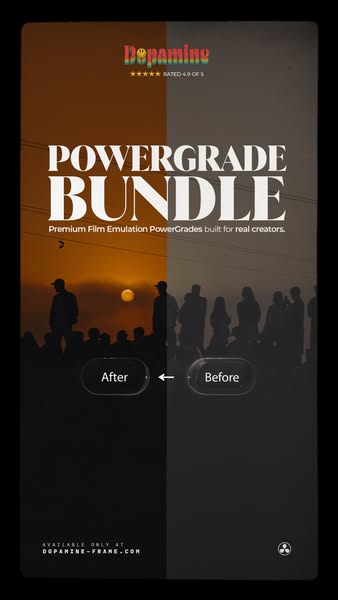 The PowerGrade Bundle: +50 looks