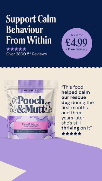 Anxious, reactive or excitable pooch?
