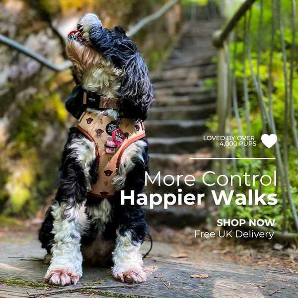 More control. Happier walks.