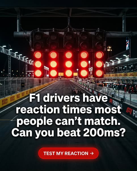 Try Now --->