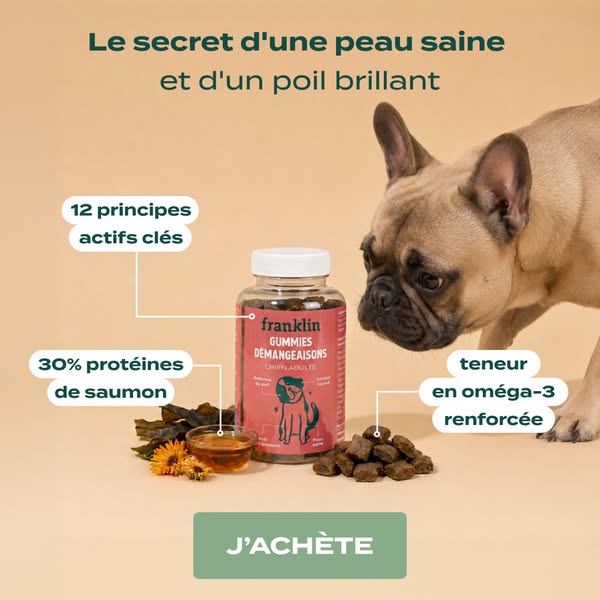 Une recette gourmande