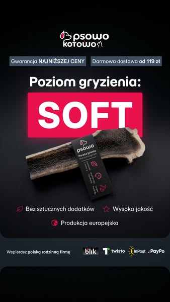 Kup teraz ser himalajski dla psa