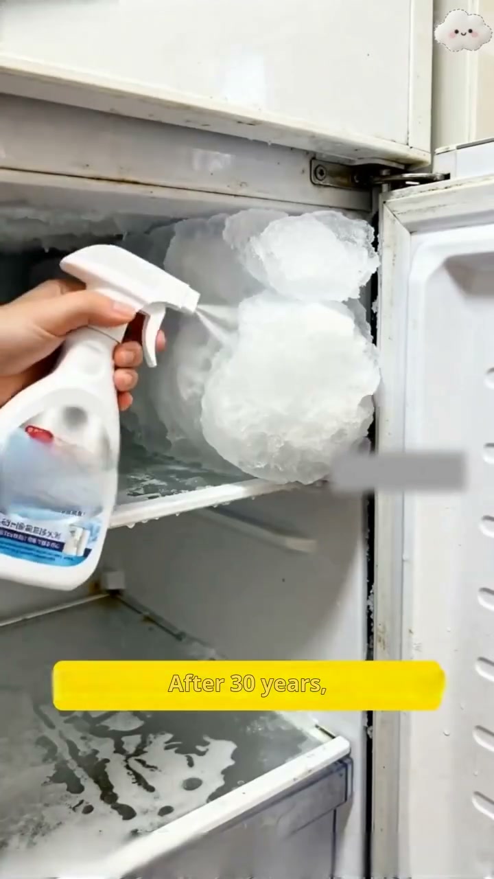Buy 2 Get 1 Free | Defrosting Spray for Fridge Freezer Includes Free Spatula