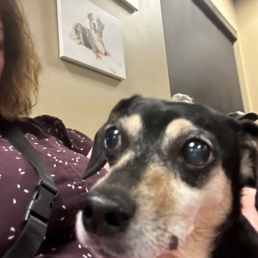 When Surgery Isn’t Within Reach, Support the Steps That Still Matter