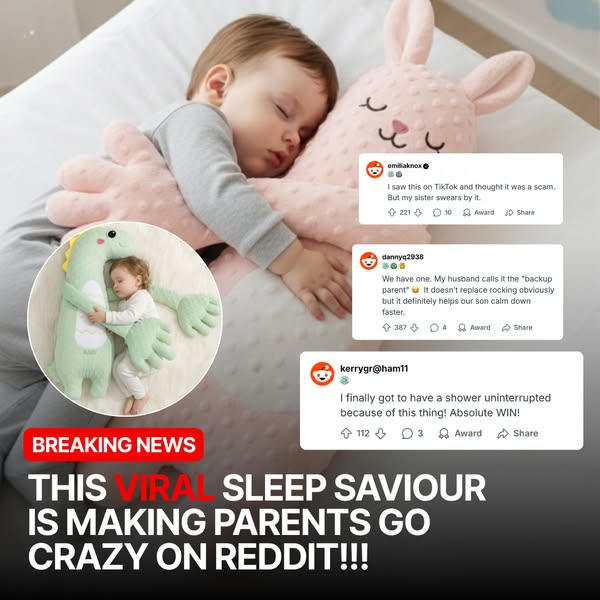 Lullabear: 50% OFF + Free Gift