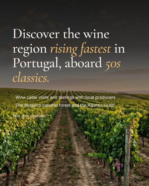 Book Your Day in the Bairrada