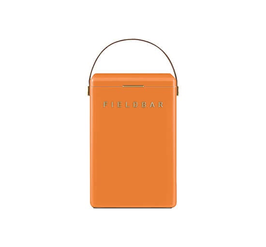Fieldbar Cooler Box Orchard Orange