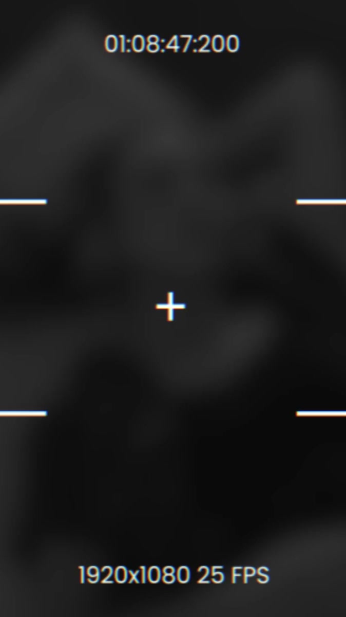 56 Collections, One Bundle