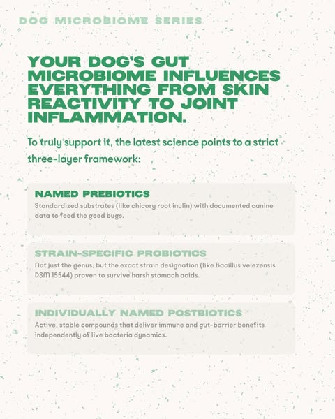 Anúncio de Bonza Dog Foods