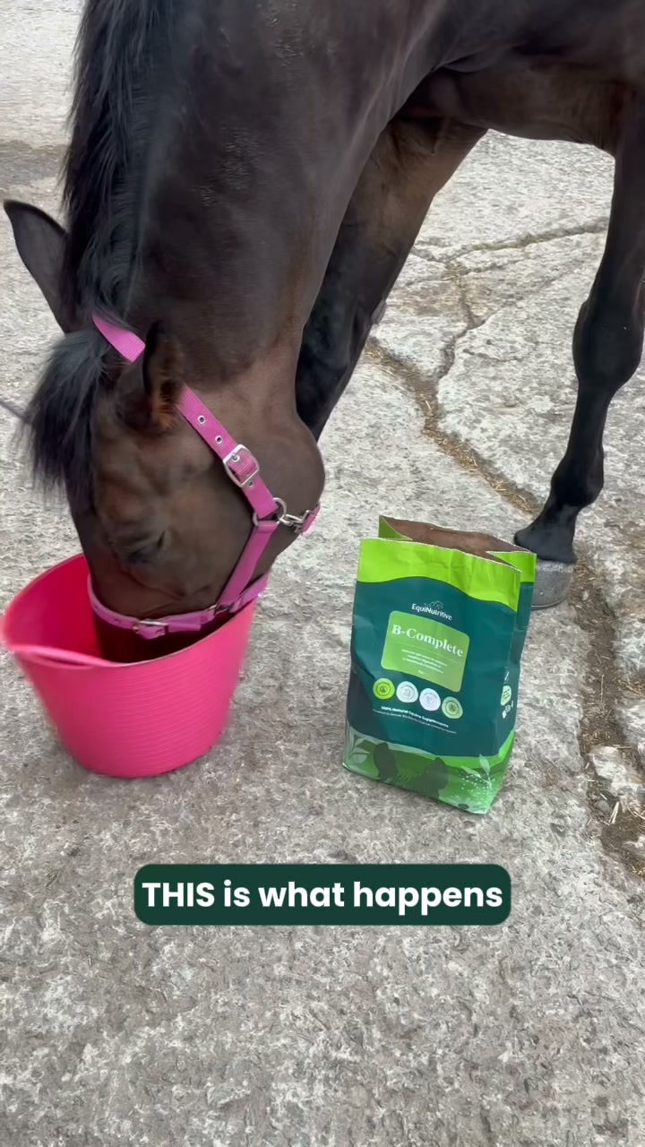 Purpose-Built Nutrition for Horses.