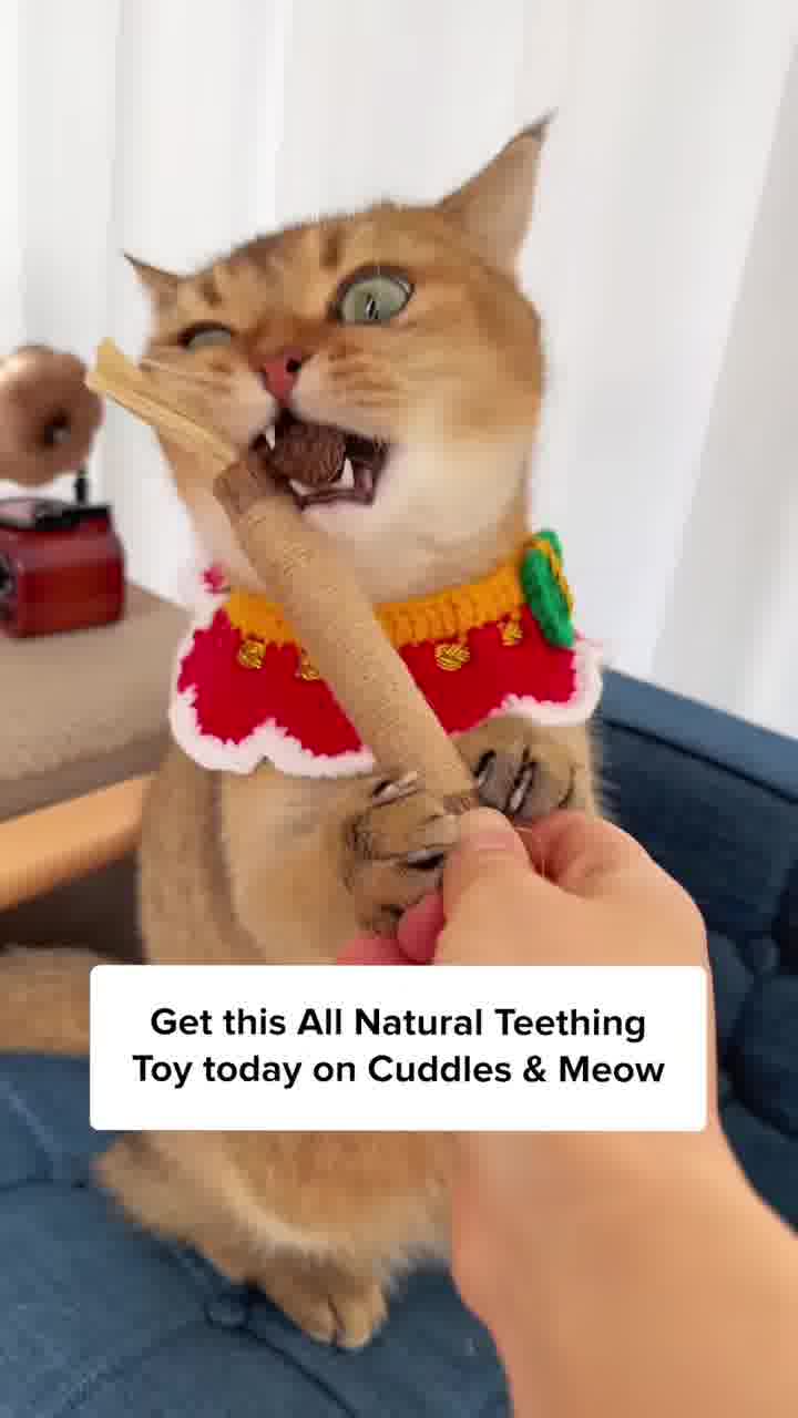 One Treat. Endless Cat Health Benefits.