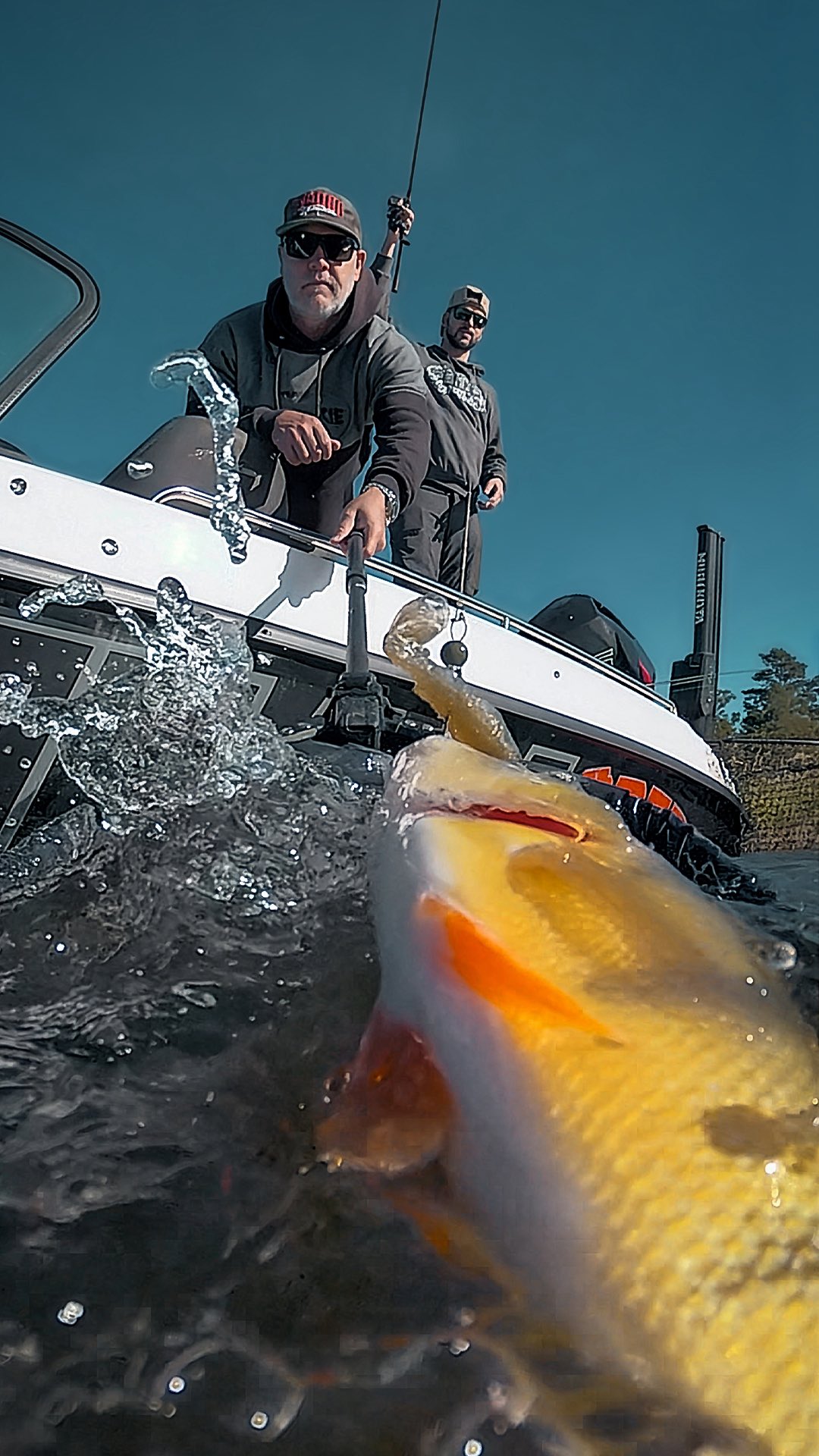 Anúncio de Sportfishtackle.de
