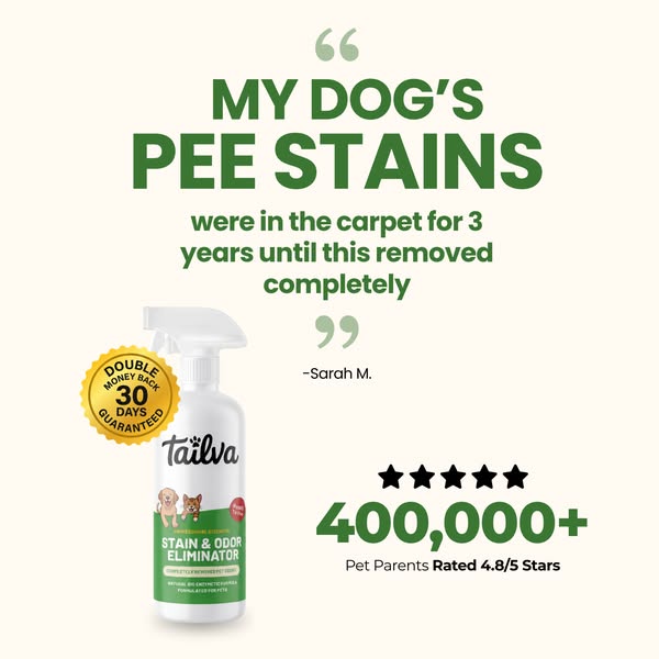 Animal Shelters Use This to Erase Stains & Odors