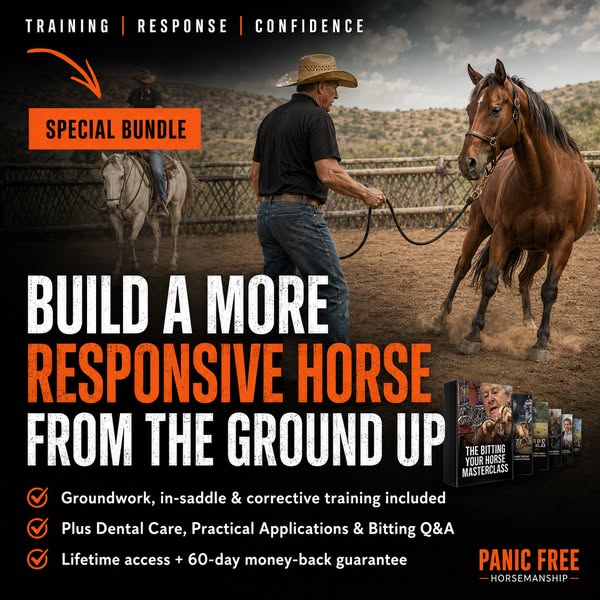Stop Guessing With Your Horse’s Bit