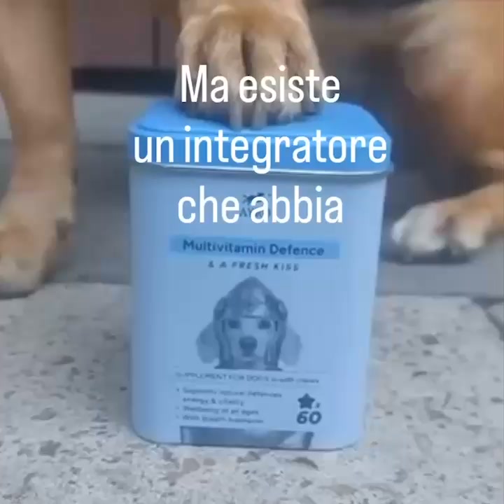 Qualcosa è cambiato nel tuo cane?