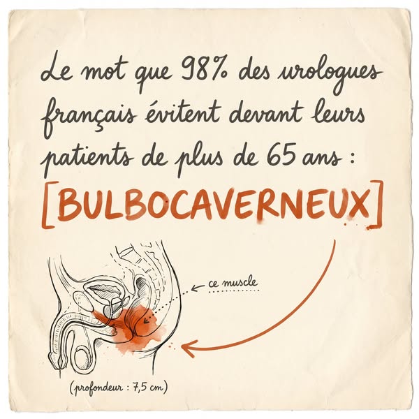 Comment réveiller le muscle, étape par étape.