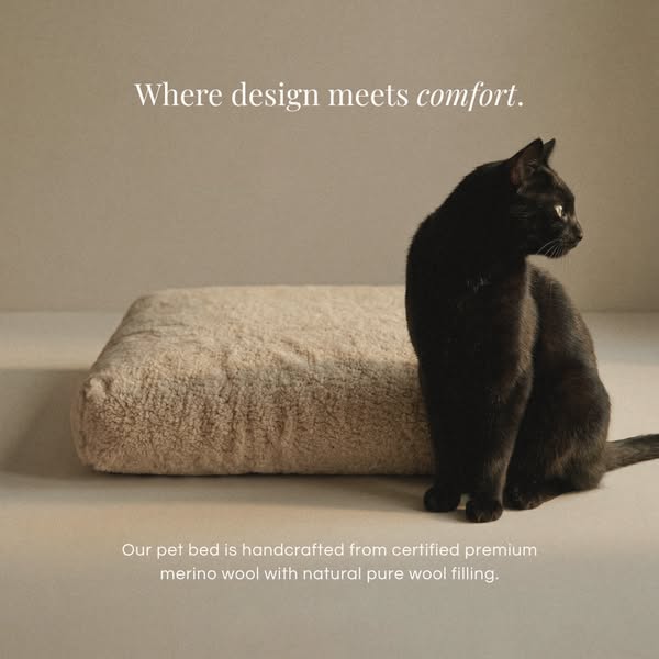 Where design meets comfort