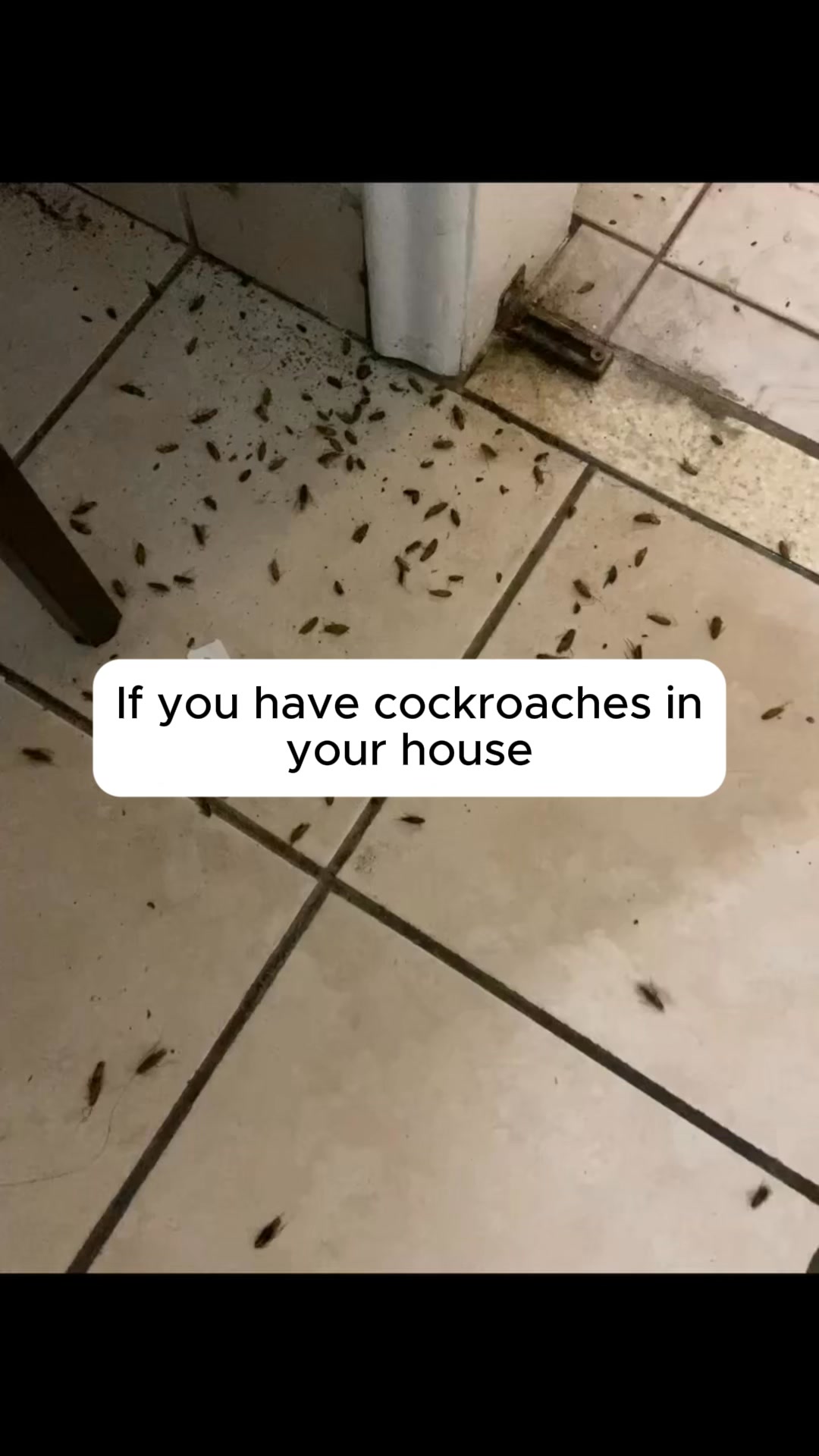 Kills the Nest, Not Just What You See