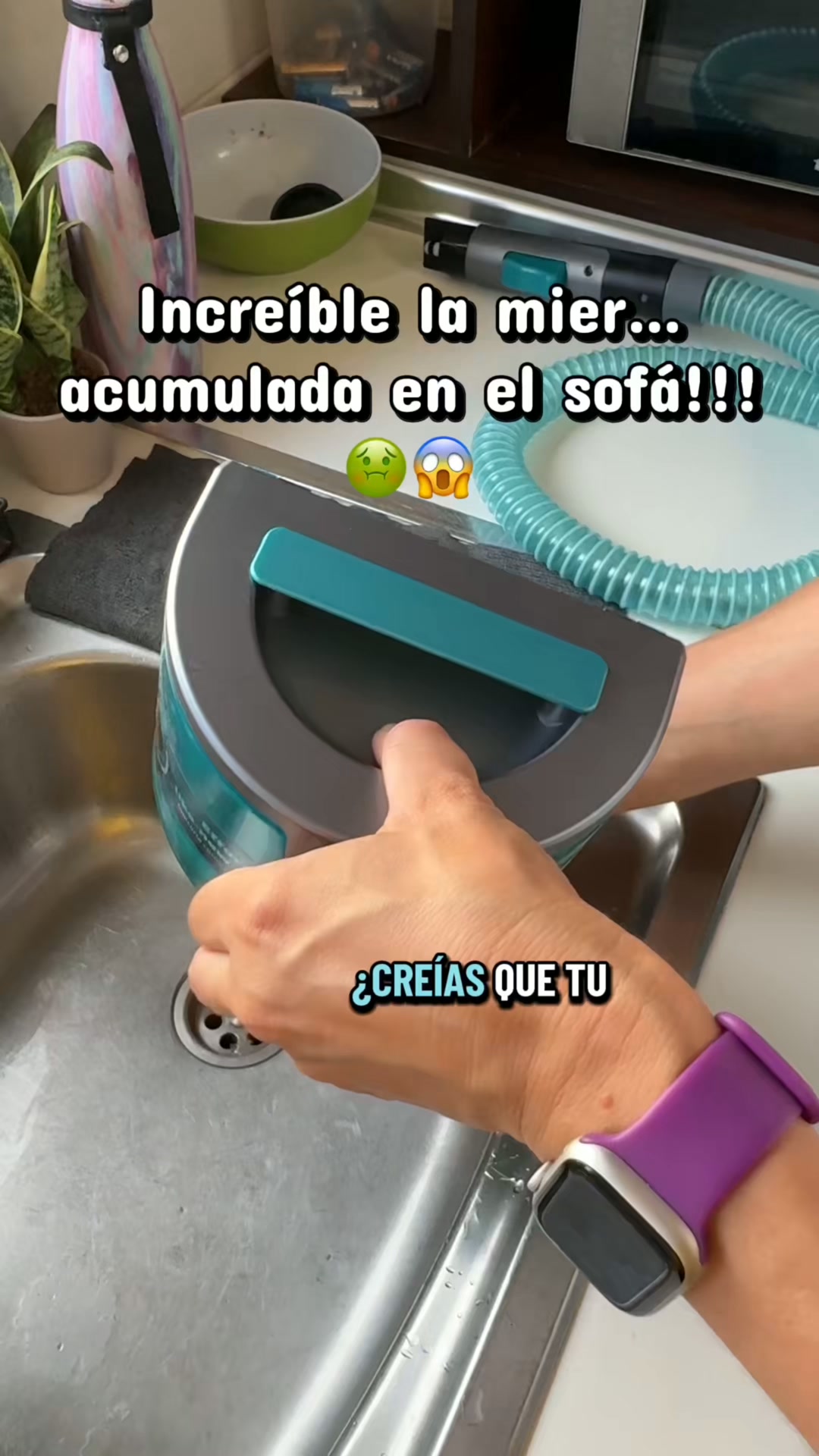 Adiós Manchas en Sofás y Alfombras