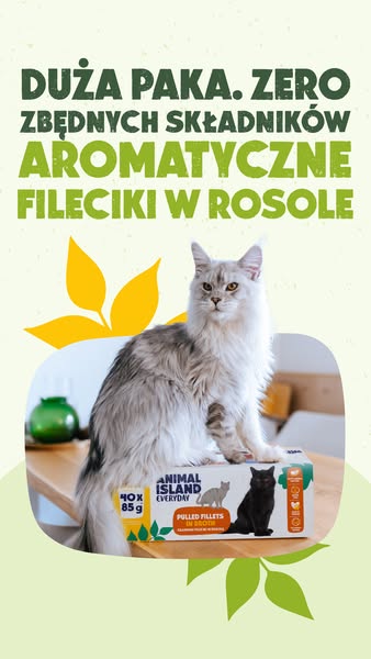 Czysty skład