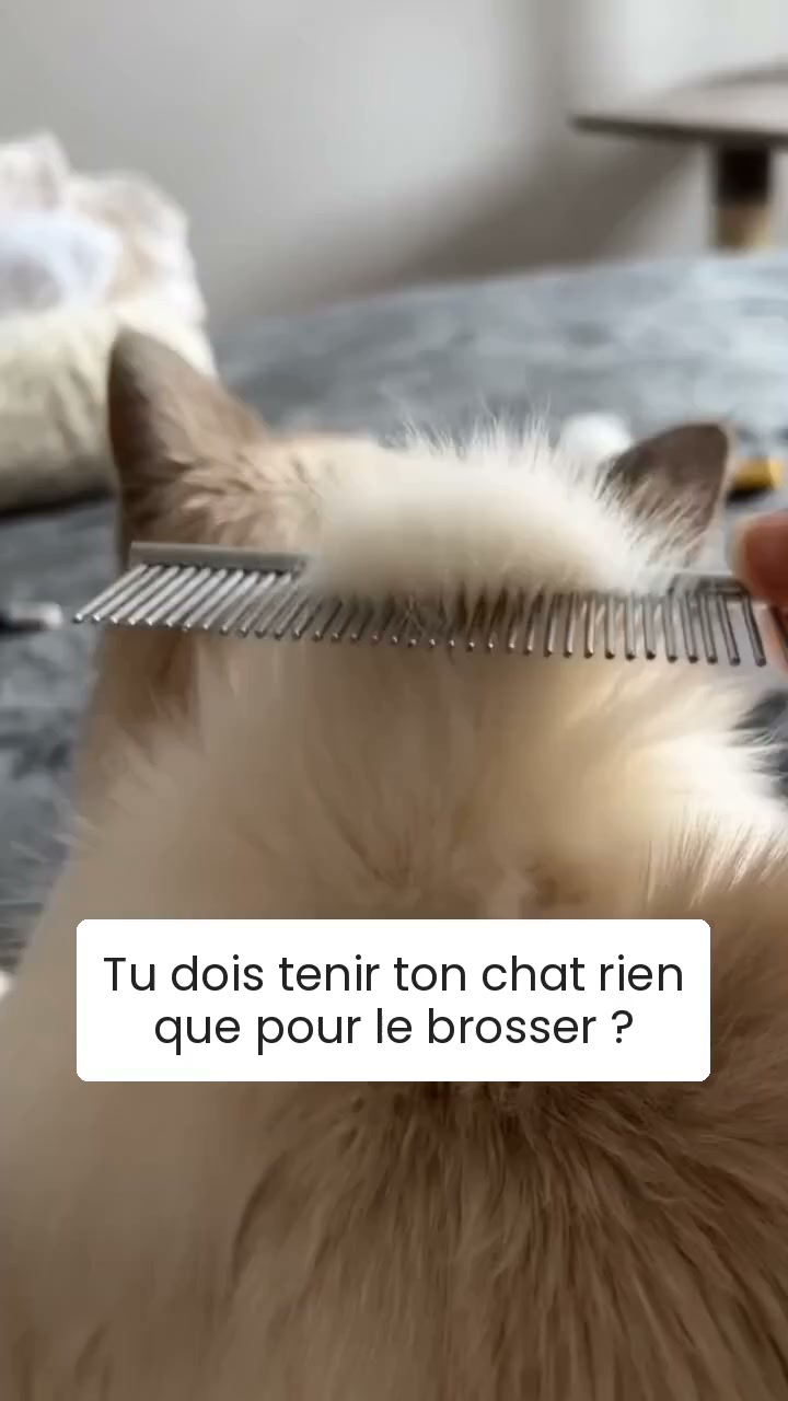 30 jours satisfait ou remboursé