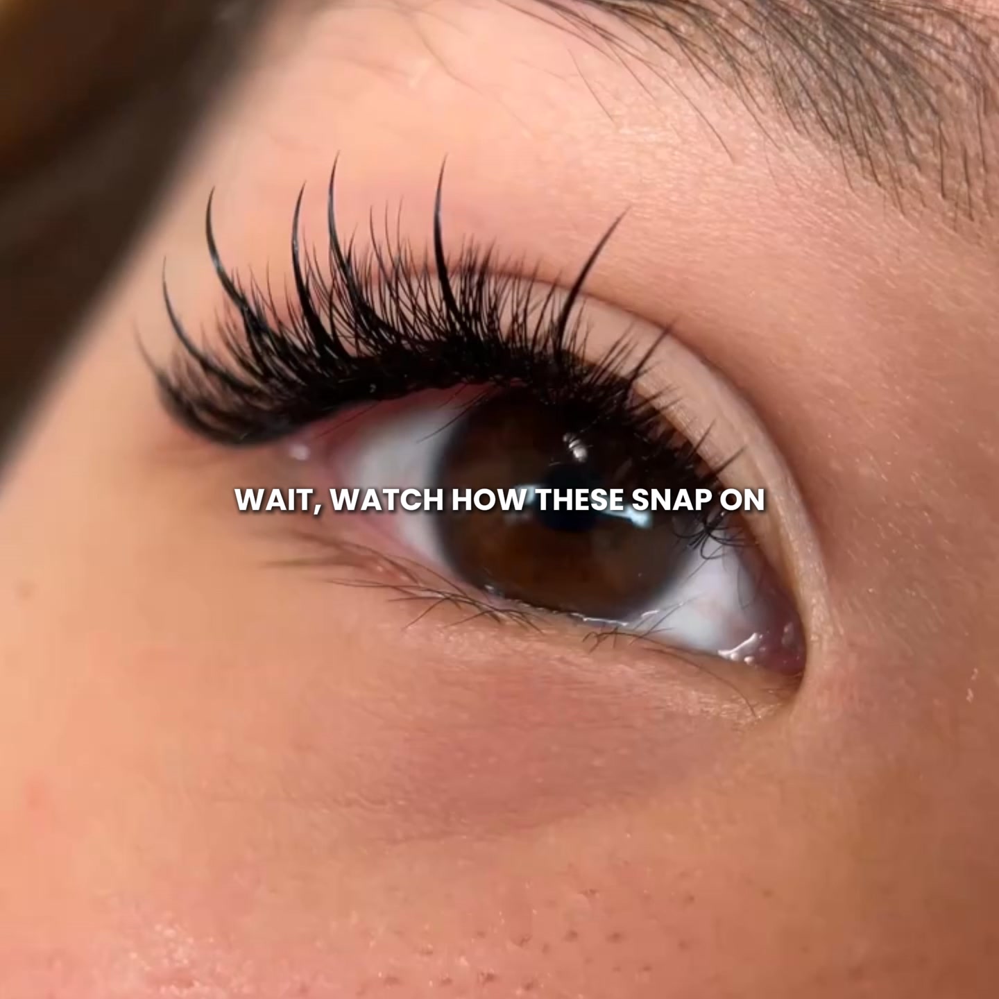 Magnetic Lash Sale Today