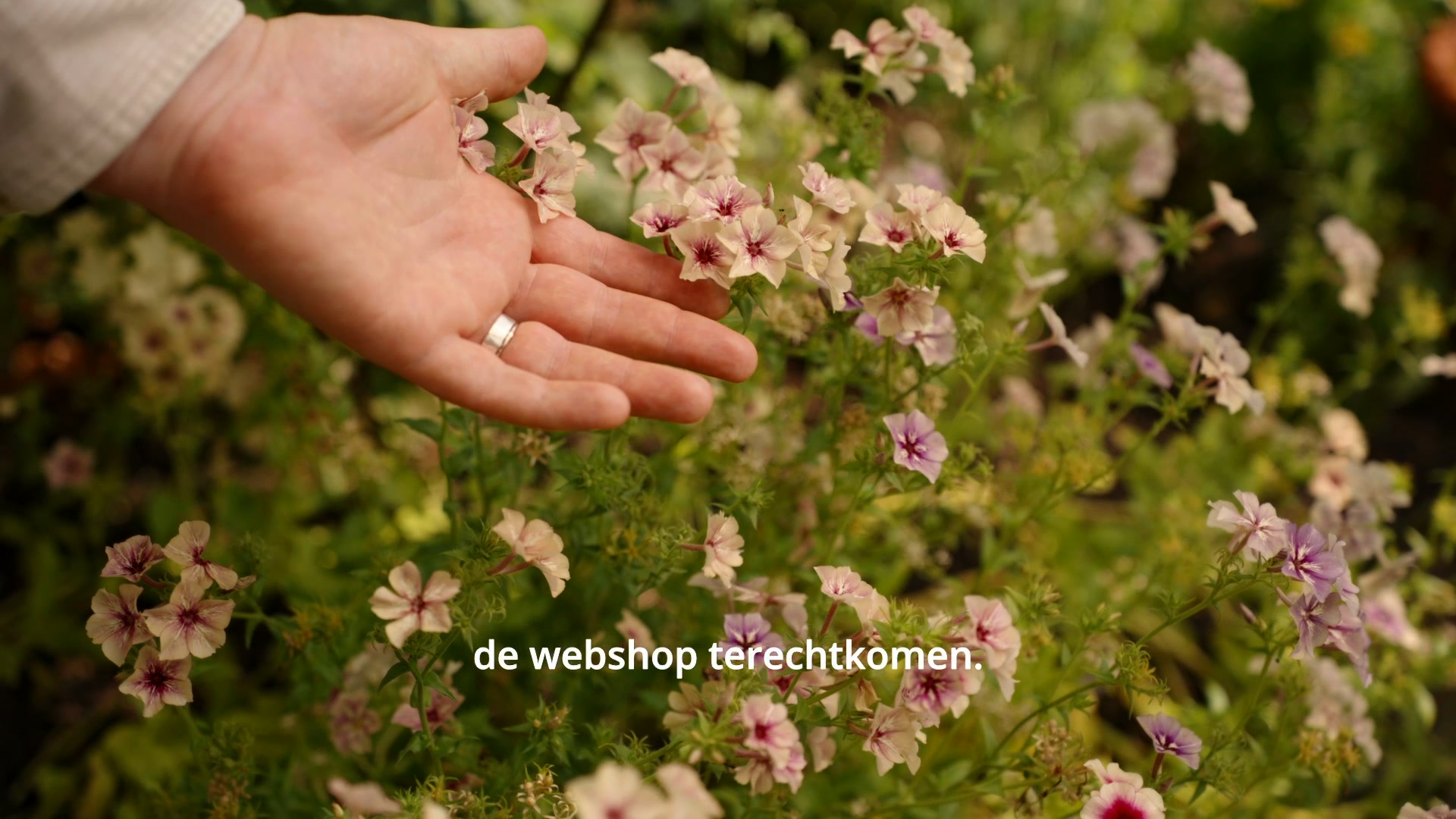 Benieuwd?