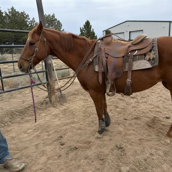 See what my ride looks like now