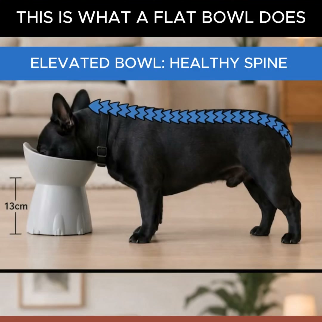 Orthopedic Bowl