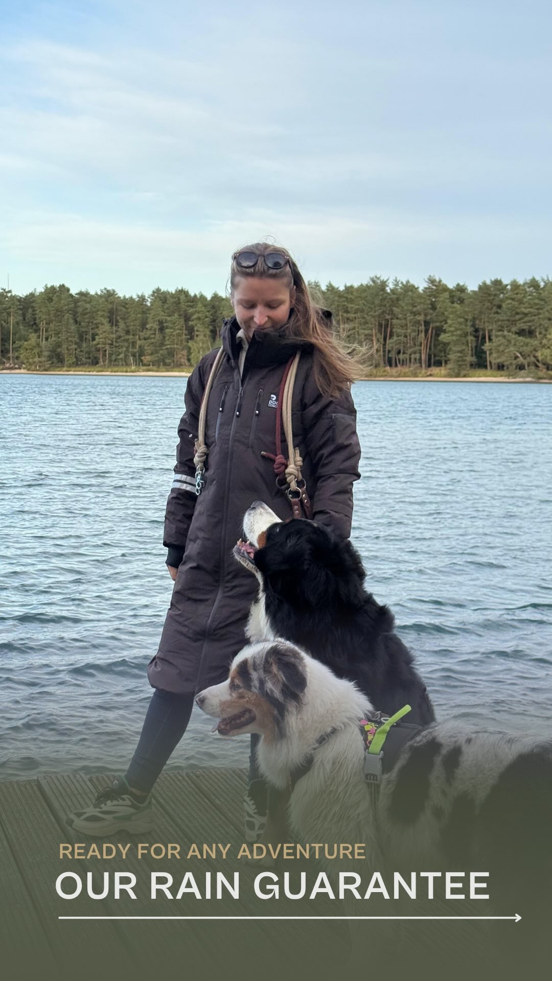 Anúncio de DogCoach