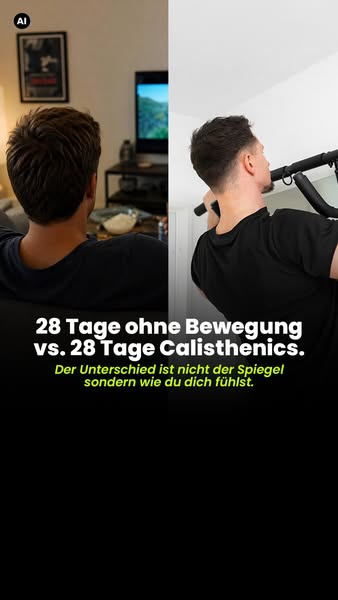 Die verbesserte Klimmzugstange