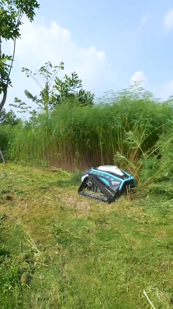 Today's SpecialsMini self-propelled Remote Control Lawn Mower Robot