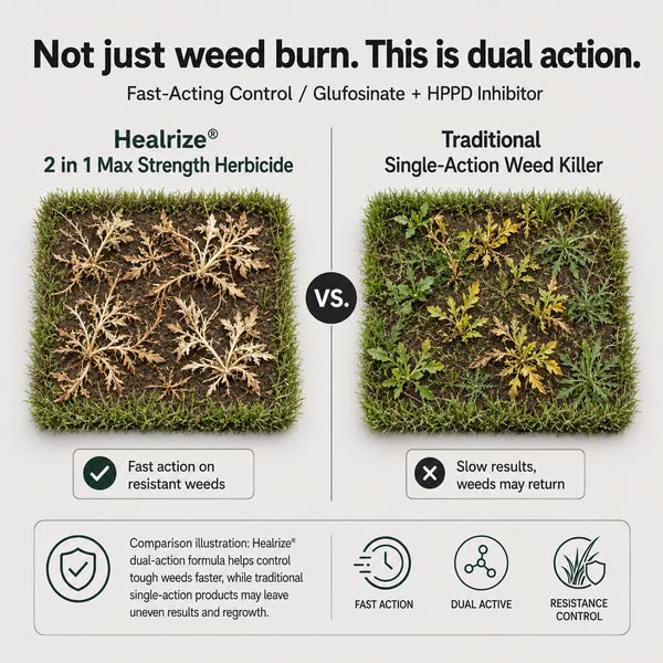 Kill Weeds for Good, Not Just the Weekend