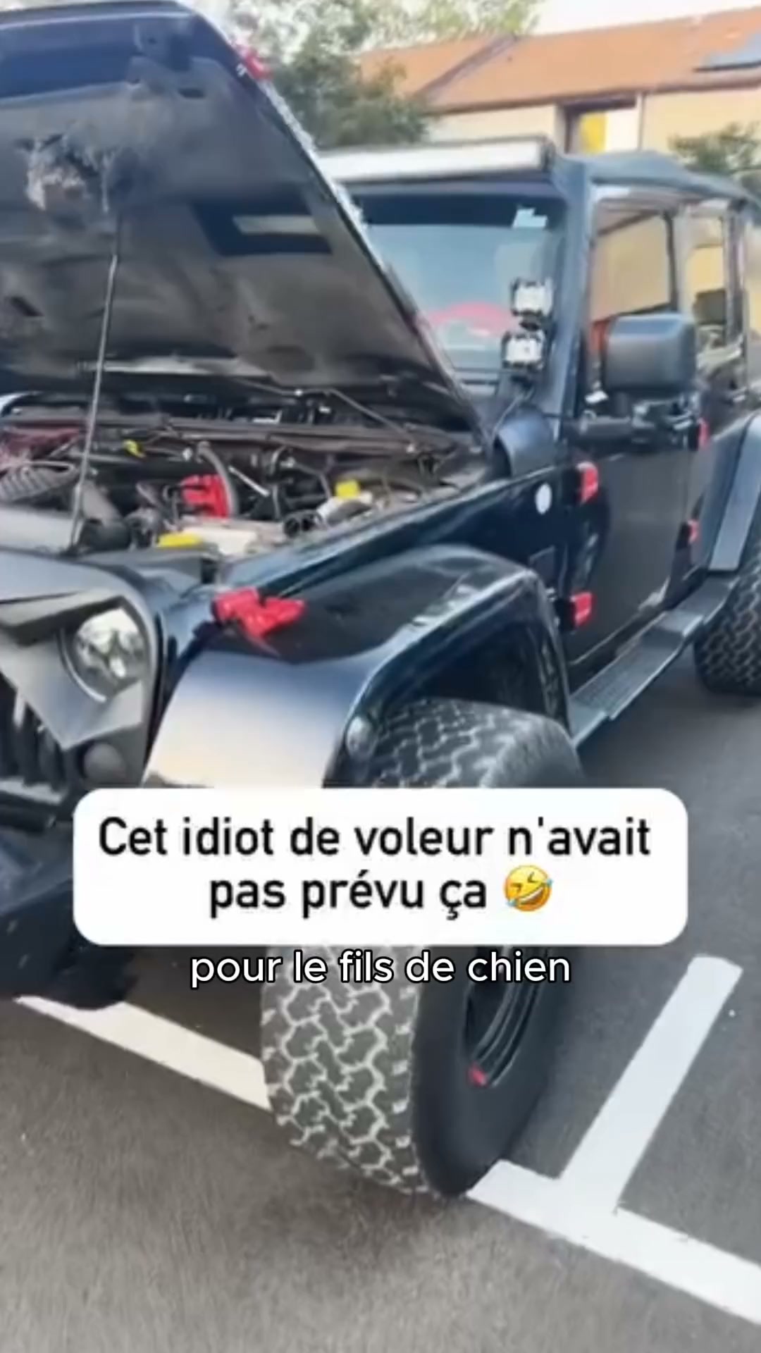 50% jusqu'à minuit seulement